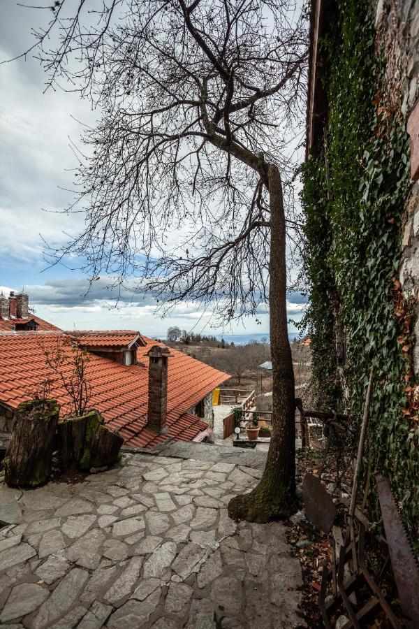 Arxontiko Agonari Hotel Metamorfosi  Exterior photo