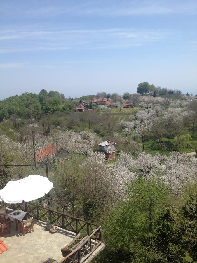 Arxontiko Agonari Hotel Metamorfosi  Exterior photo
